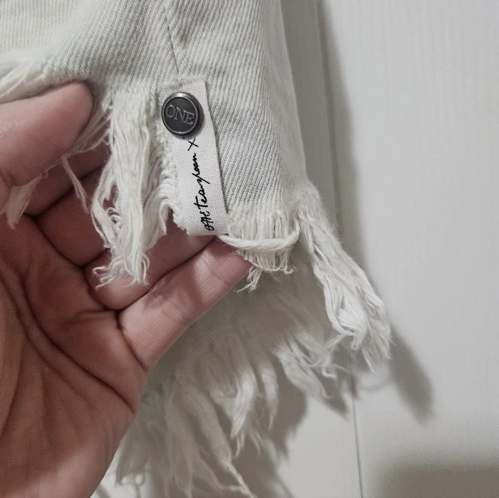 One X One Teaspoon Distressed Denim Shorts 25
